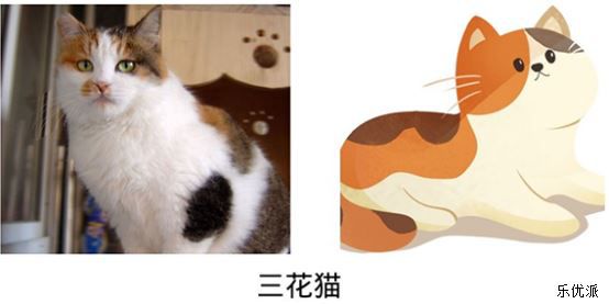 Chinese cats are also very cute