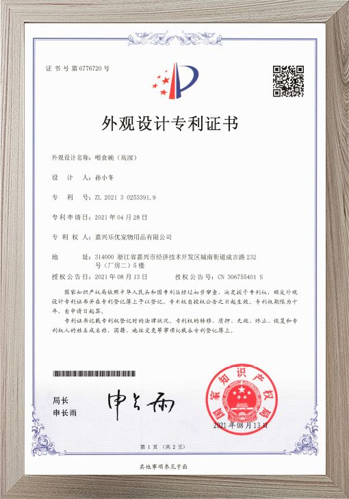 Appearance Design Patent Certificate